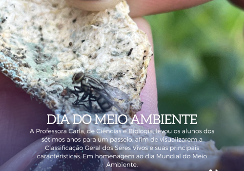 Dia mundial do Meio Ambiente