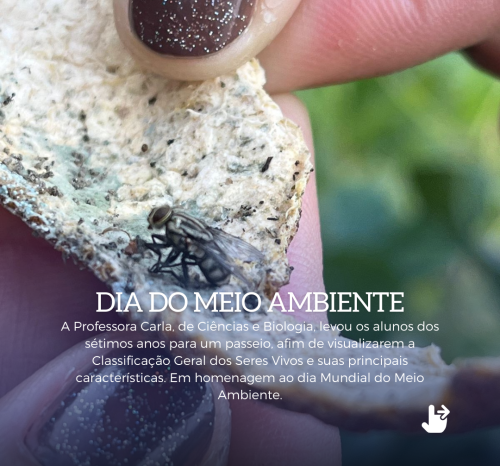 Dia mundial do Meio Ambiente